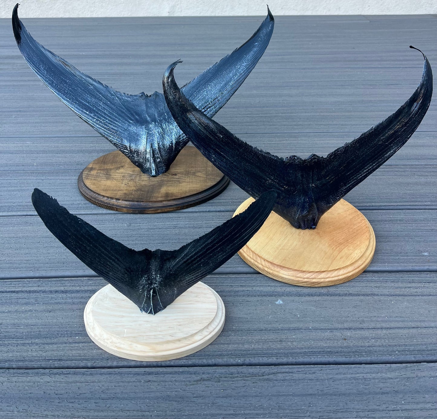 Epoxy Blue Fin Tuna Tail