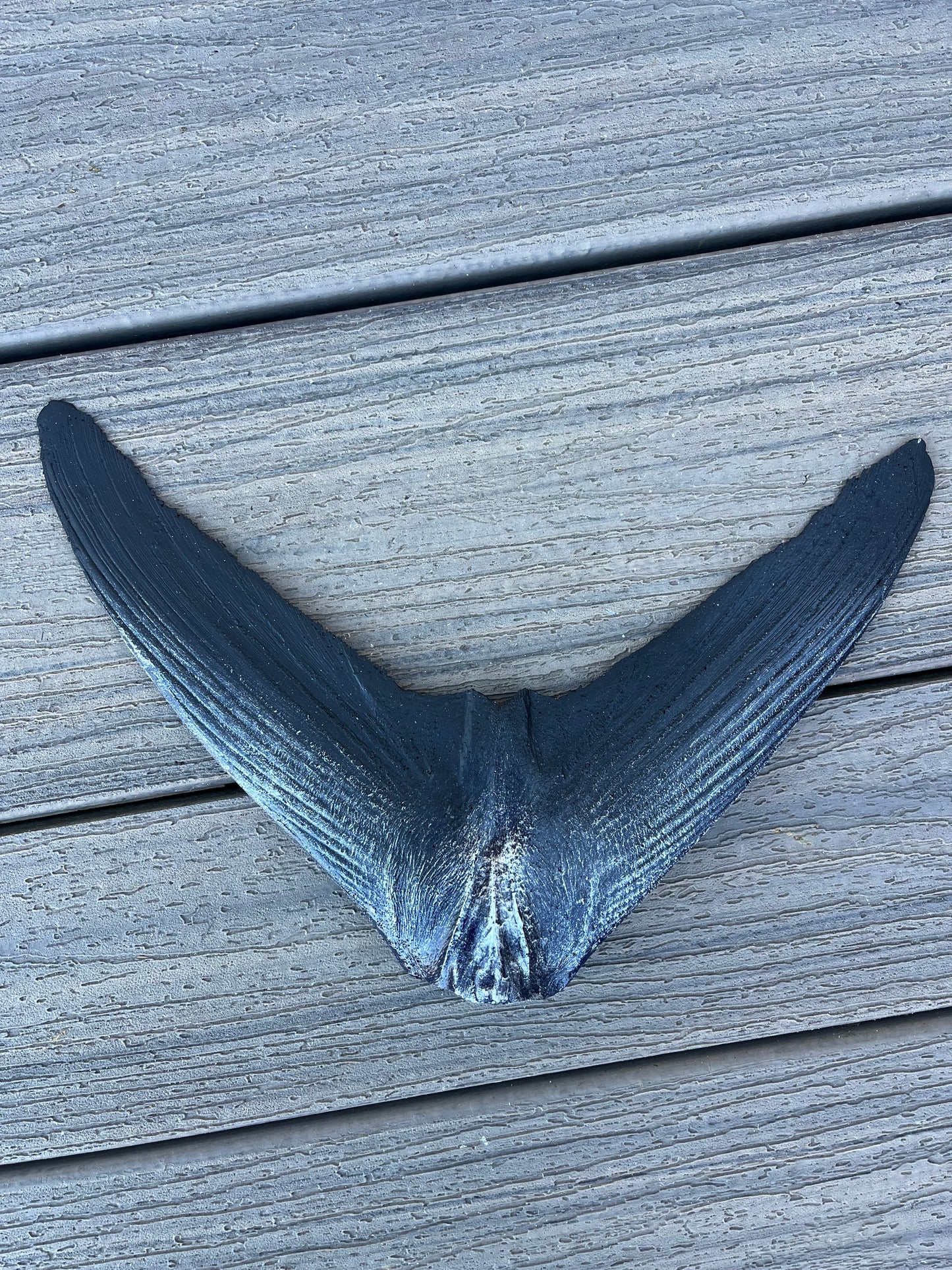 Epoxy Blue Fin Tuna Tail