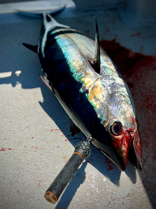 Tuna Spike