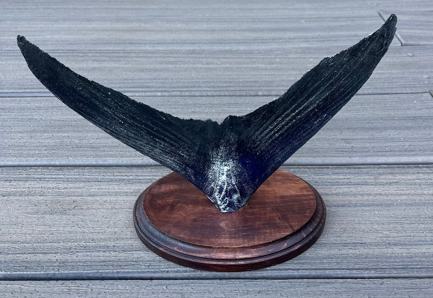 Epoxy Blue Fin Tuna Tail