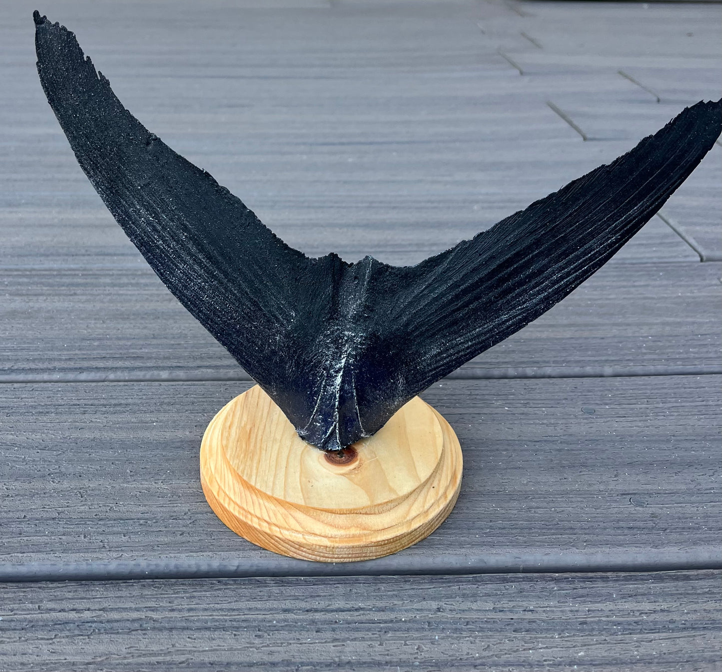 Epoxy Blue Fin Tuna Tail