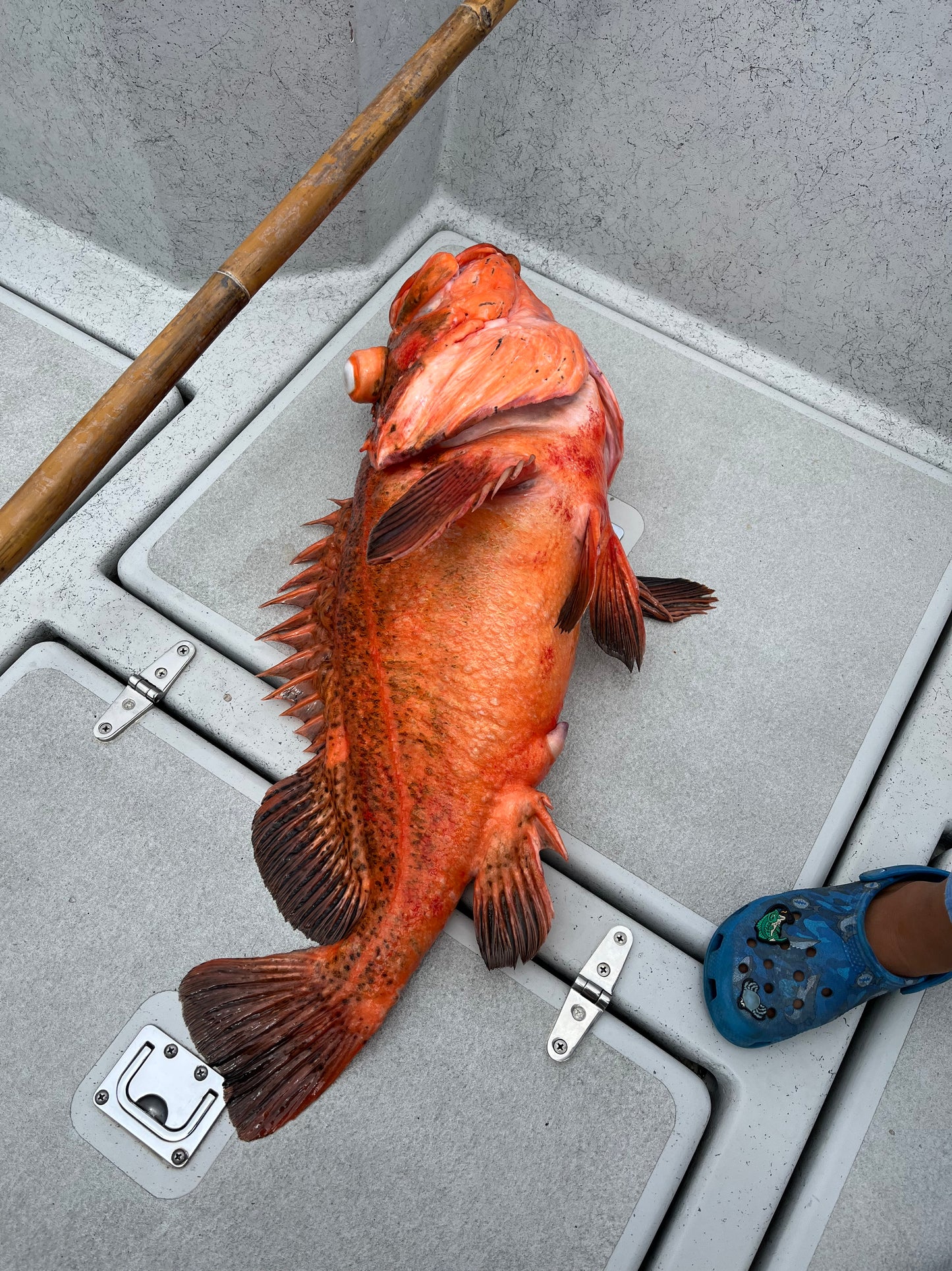 Owen’s Deep Drop Rockcod Rigs