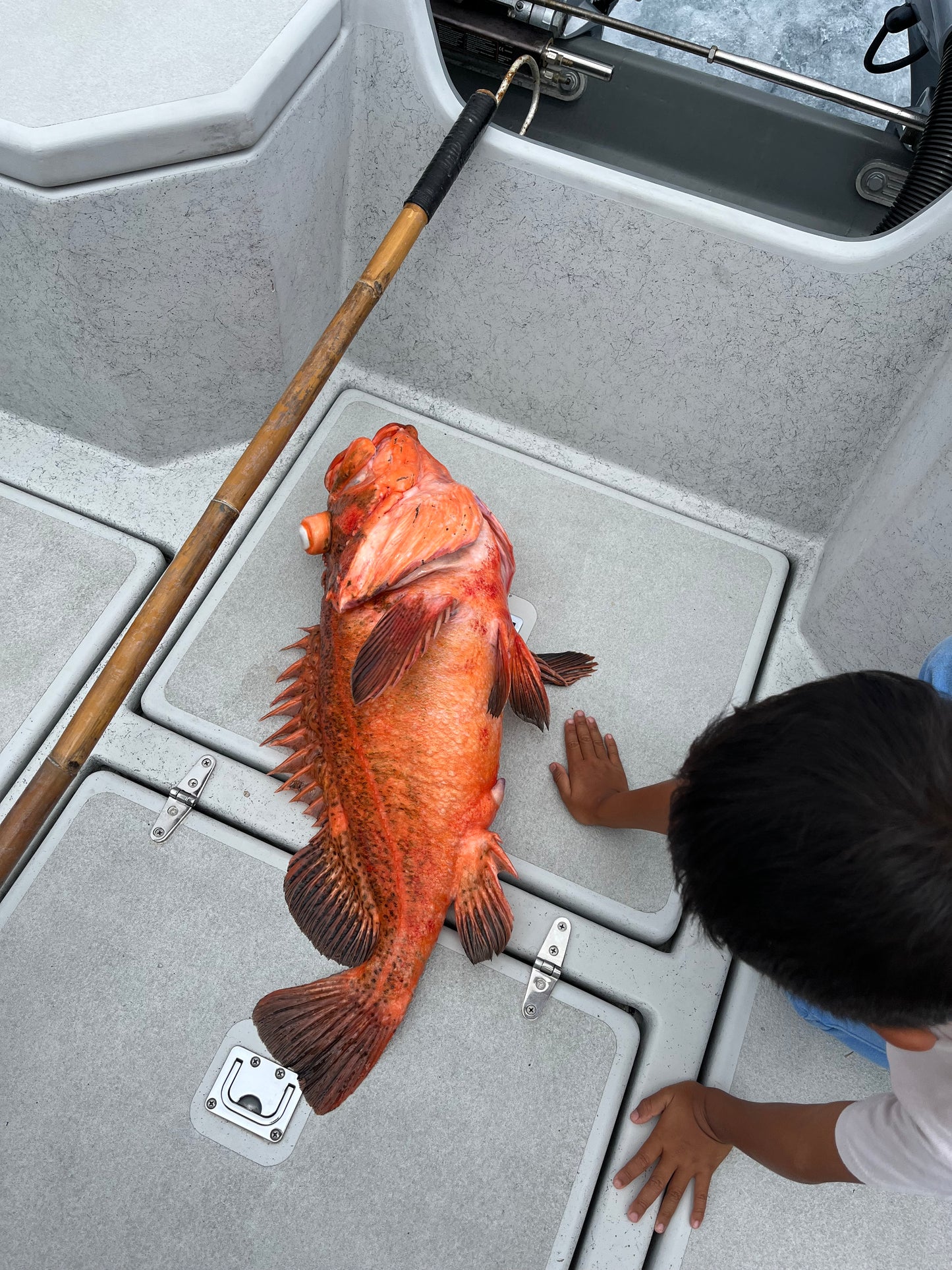 Owen’s Deep Drop Rockcod Rigs