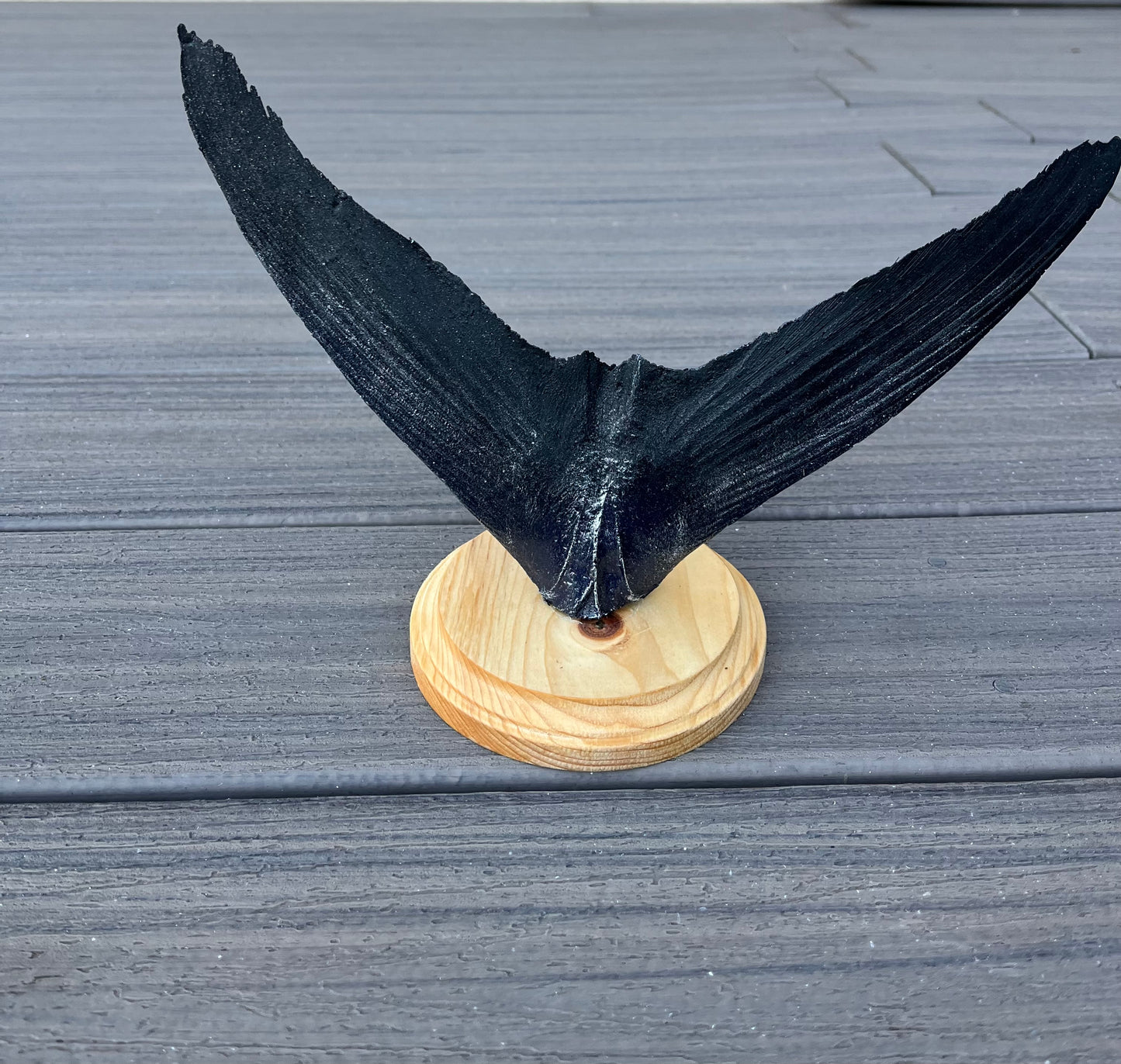Epoxy Blue Fin Tuna Tail