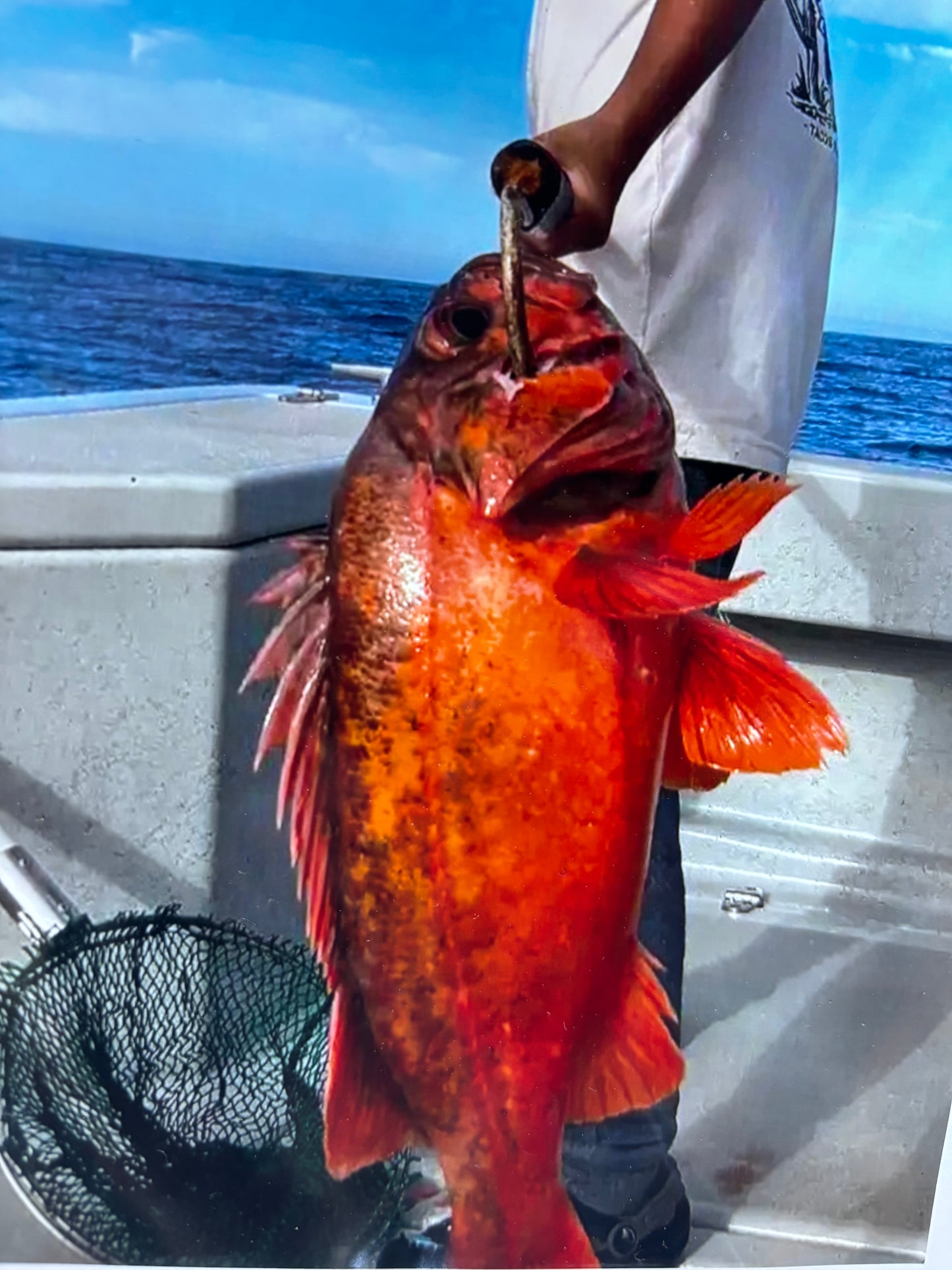 Owen’s Deep Drop Rockcod Rigs
